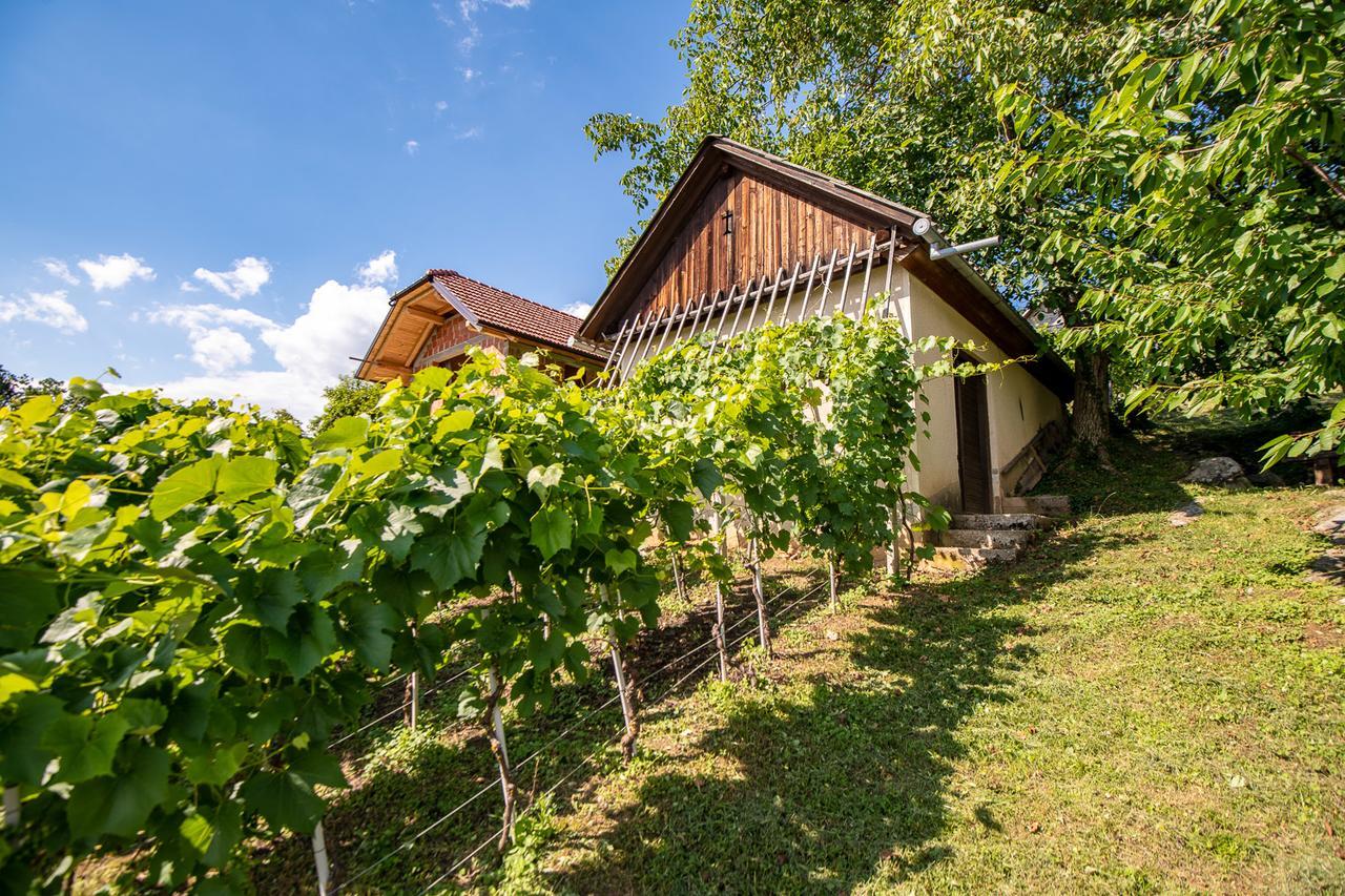 Vineyard Cottage Pod Piramido Dobrnic Eksteriør bilde